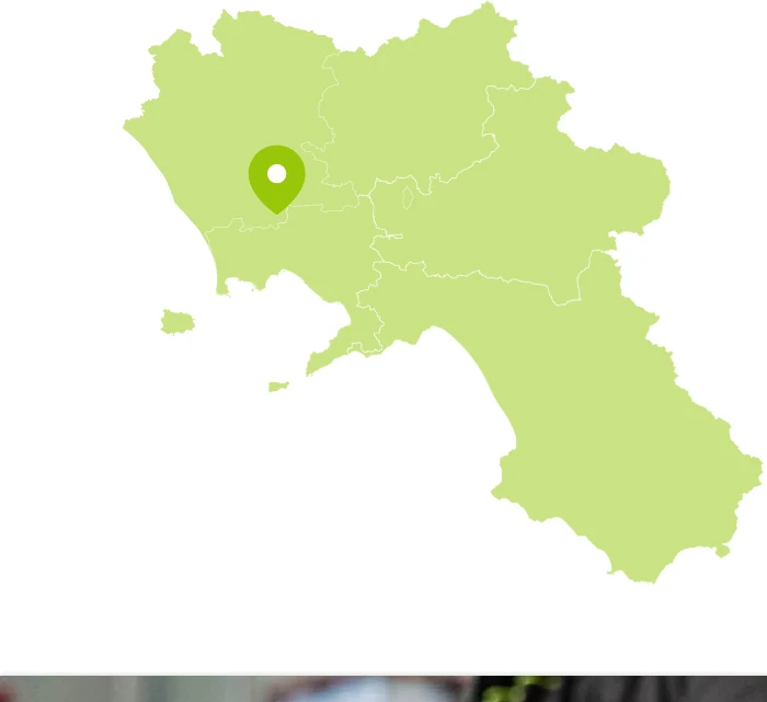 Mappa dell'Italia con sede CleanTex in Campania